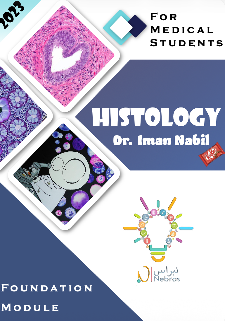 Iman PDF thumbnail